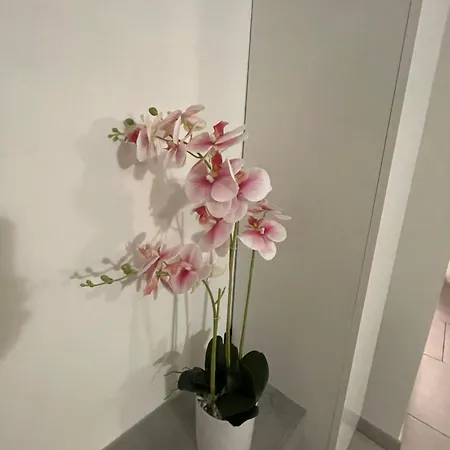 بيت للعطل Sabrina Maison Chic Dolcenido Bouquet Sanremo 1